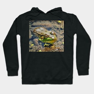 Sunbathing Frog. Photograph Hoodie